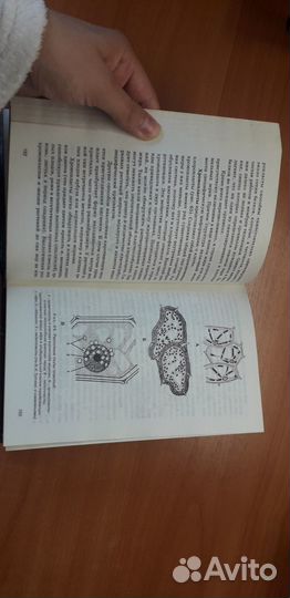 Г.Л.Билич, В.А.Крыжановский. Биология, анатомия