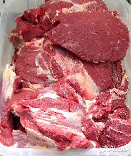 Мясо молодого телёнка (Халяль)