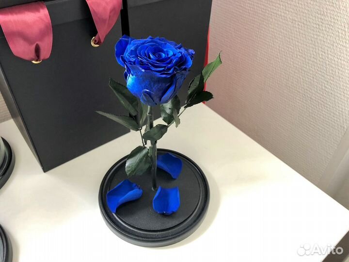 Роза в колбе