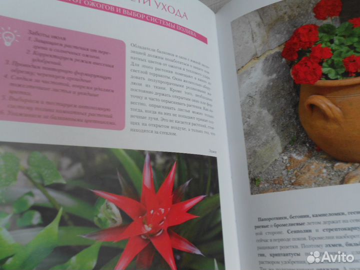 Календарь по уходу за комнатными растениями