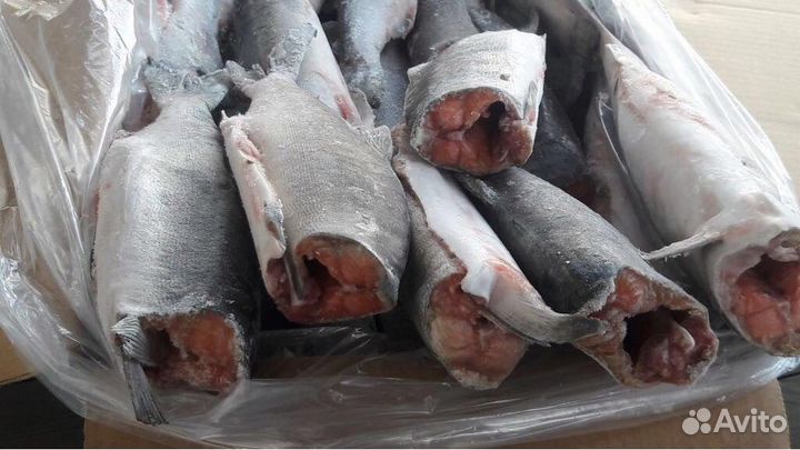 Горбуша потрошенная без головы