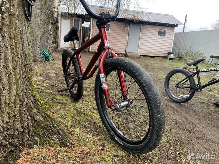 BMX WeThePeople trust