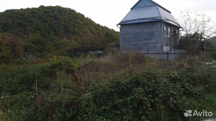 Покос травы, спил деревьев, расчистка участков