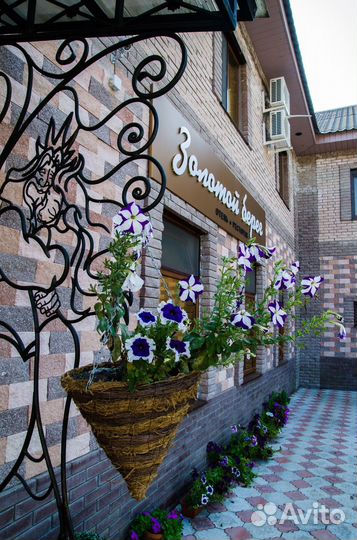 Тур на базу отдыха