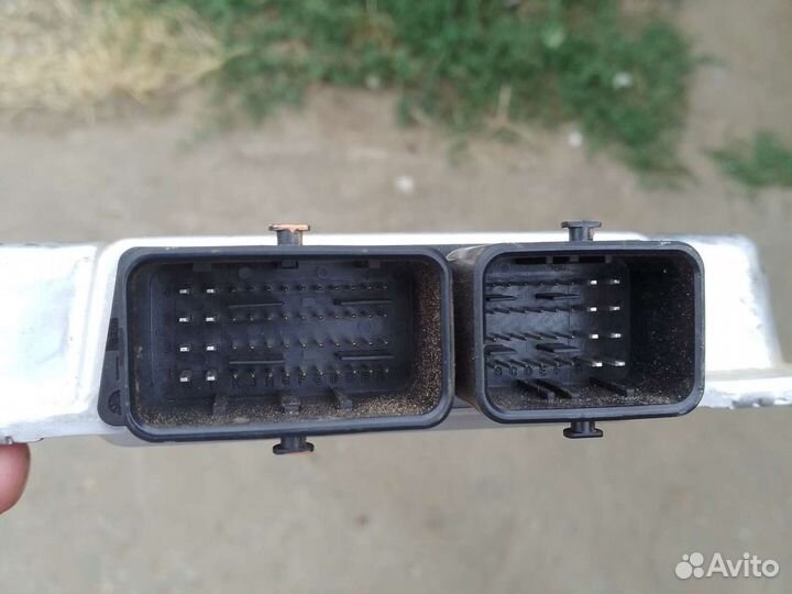 Эбу январь7.4