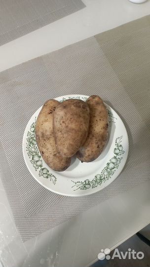Картофель