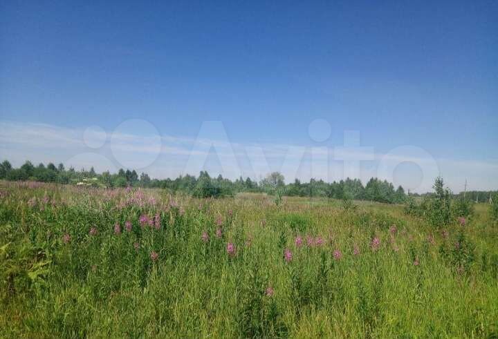 Участок 10,2 сот. (СНТ, ДНП)