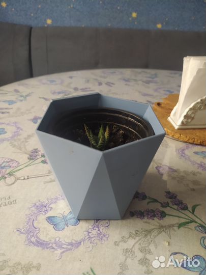 Цветочек в горшочке