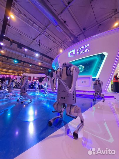 Шоу роботов Robdog