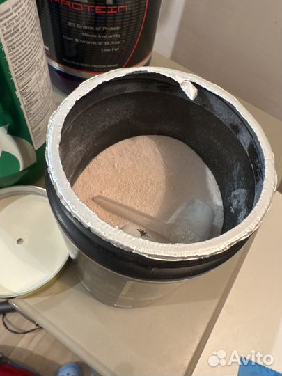 Предтреник