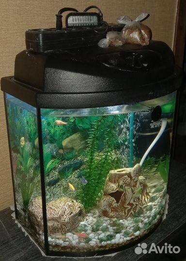 Аквариум