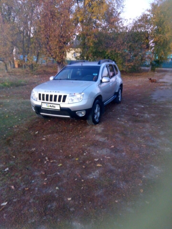 Renault Duster: фото владельца