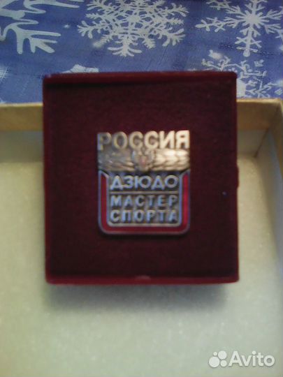 Мастер спорта России (самбо и дзюдо ) и др.борьба