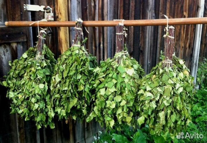 Веники для бани, березовые