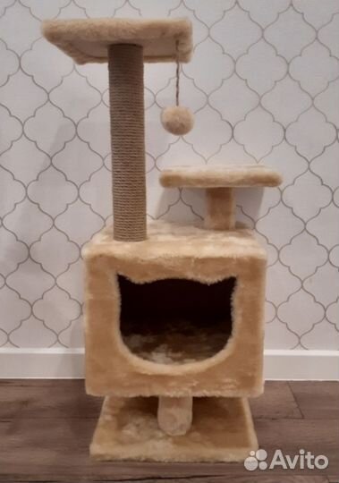 Всё необходимое для котёнка