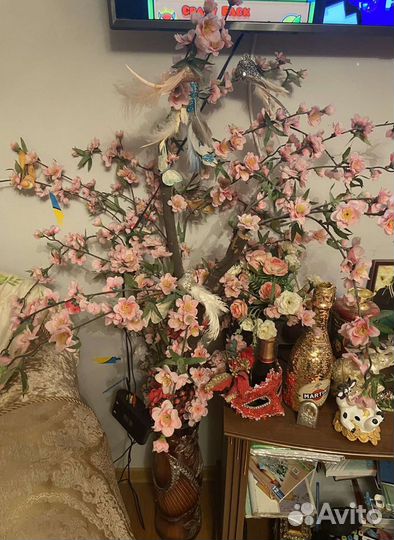 Сакура дерево