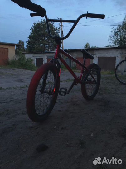 BMX Agang wolf