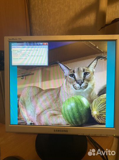 Монитор Samsung SuncMaster 720N 17 дюймов