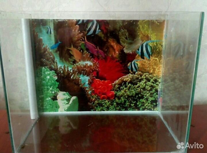 Аквариум