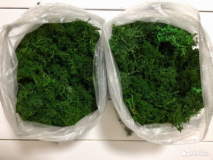 Обрезки мха для поделок