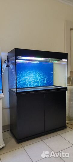 Аквариум 220 свет биофильтр фон подставка