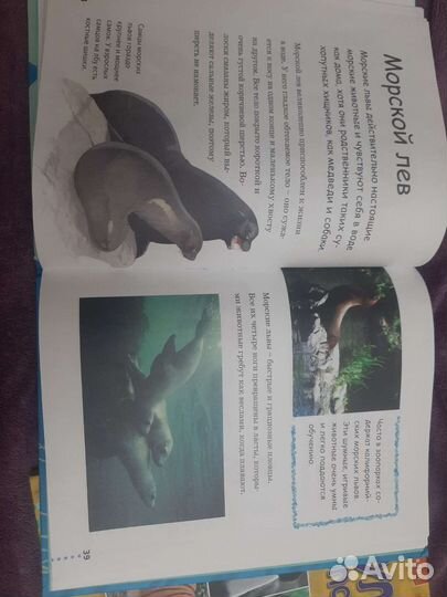 Книги о животных зоопарк