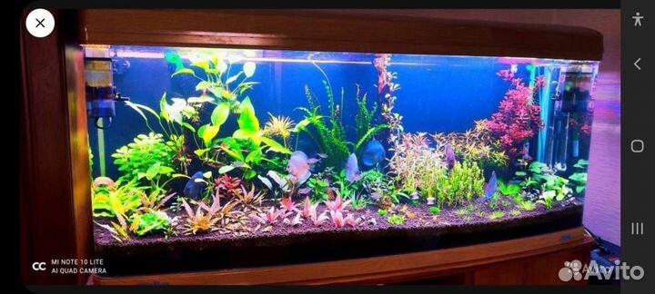 Продам аквариум
