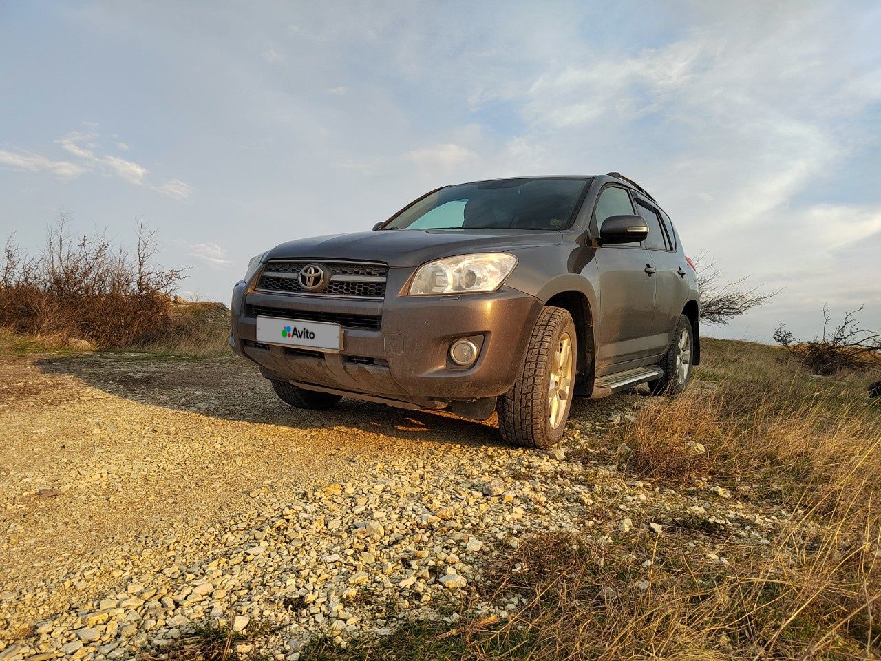 Toyota RAV4: фото владельца