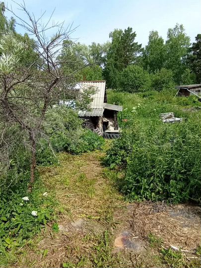 Участок 6 сот. (СНТ, ДНП)