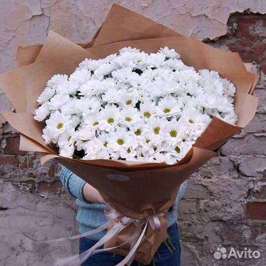 Хризантема