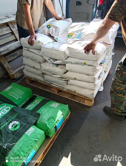 Семена подсолнечника Гепард (Евролайтинг)