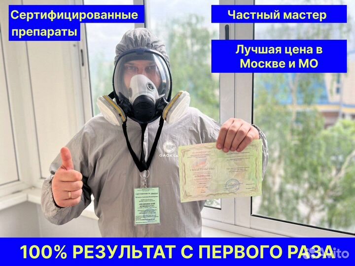 Уничтожение тараканов. Травить клопов. Дезинфекция