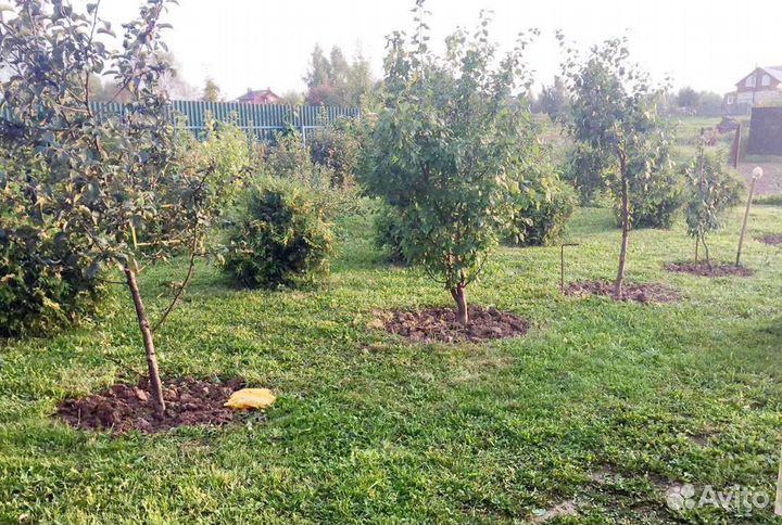 Садовые работы