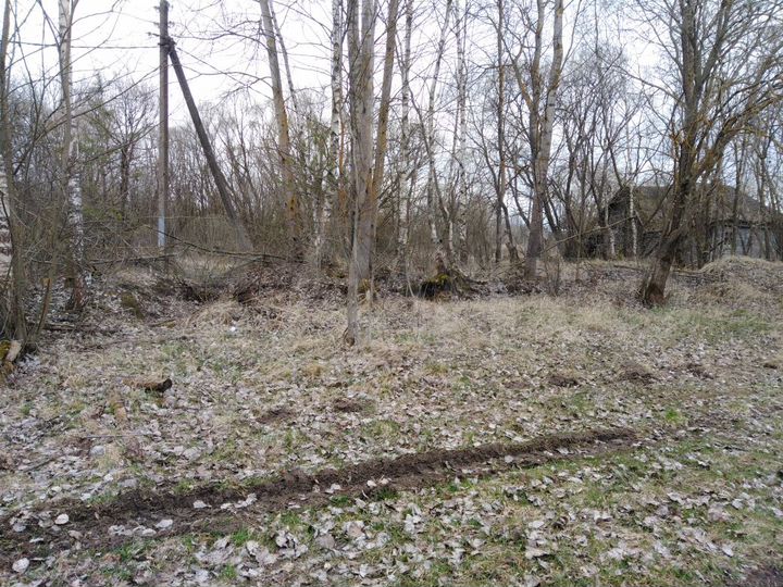 Участок 35 сот. (СНТ, ДНП)