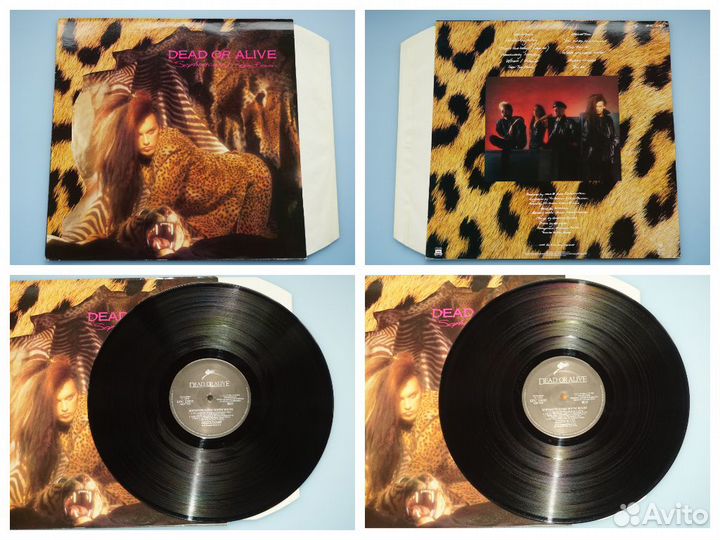 Dead Or Alive -Hubert Kah -Erasure -Bee Gees -LP