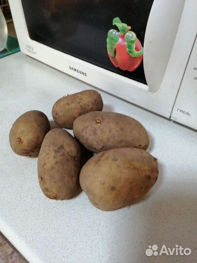 Заготовки Огурцы Варенье Банки