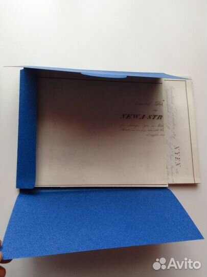 Гиппинг А.И. Нева и Ниеншанц 2003