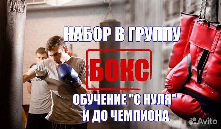 Секция бокса