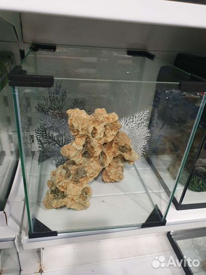 Аквариум аквариумы