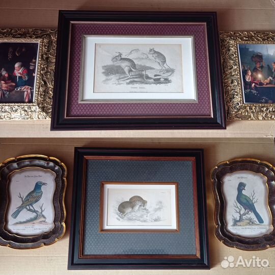 Постеры интерьерные в Английской раме