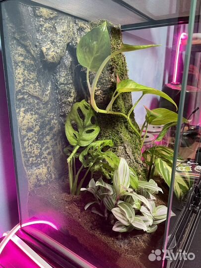 Террариум exo terra 30*30*45