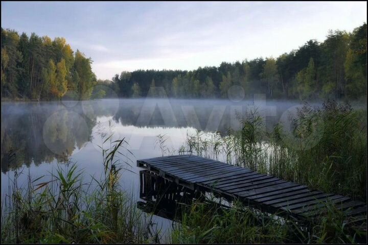 Участок 5,5 га (СНТ, ДНП)