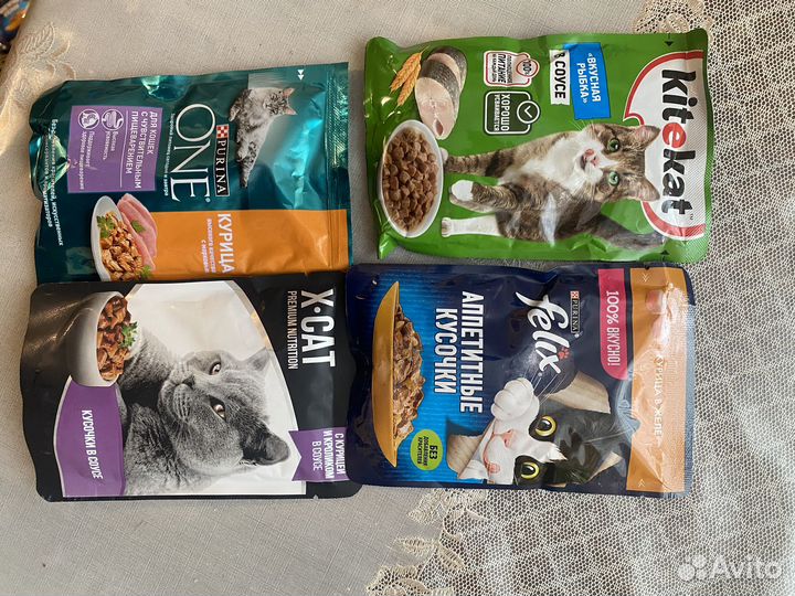 Корм для кошек влажный
