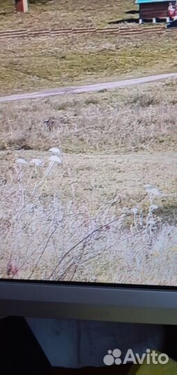 Монитор Acer AL2216W