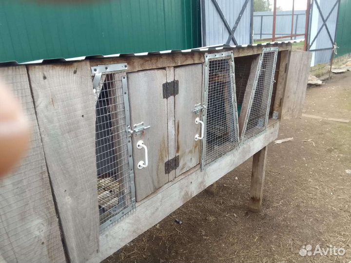 Клетка для кроликов с маточником