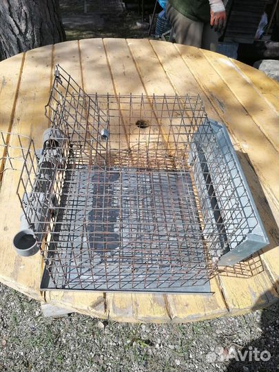 Клетки для перепелов
