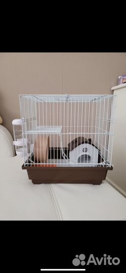 Клетка для хомяка бу