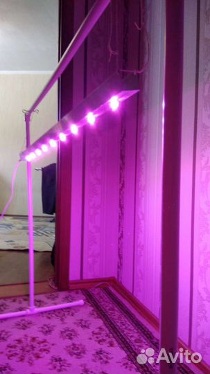 Фитолампа светодиодная