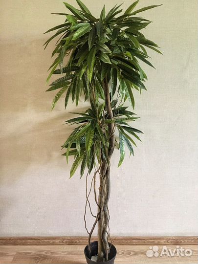 Искусственное дерево Манго