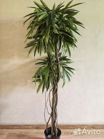 Искусственное дерево Манго